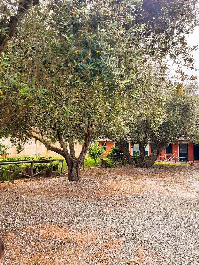 Locanda Adele Parghelia Bagian luar foto